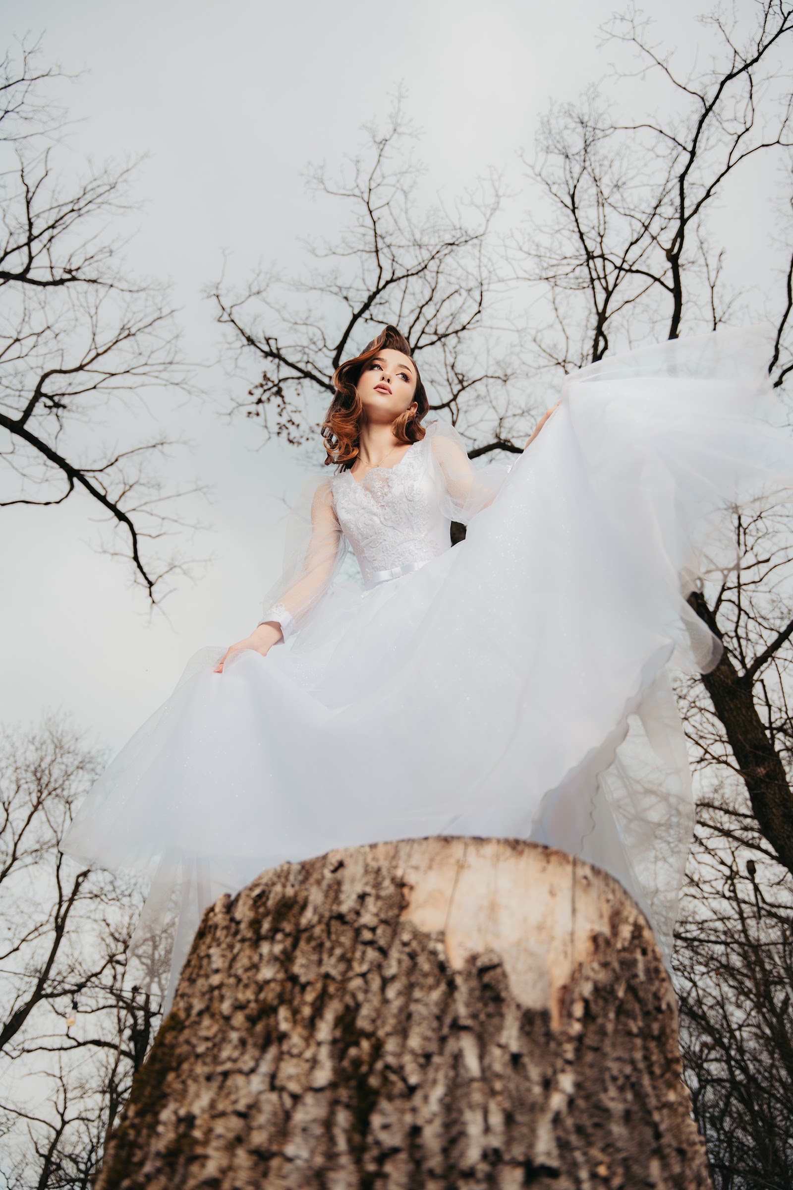 Classic Films (Andru Photo Video Studio)