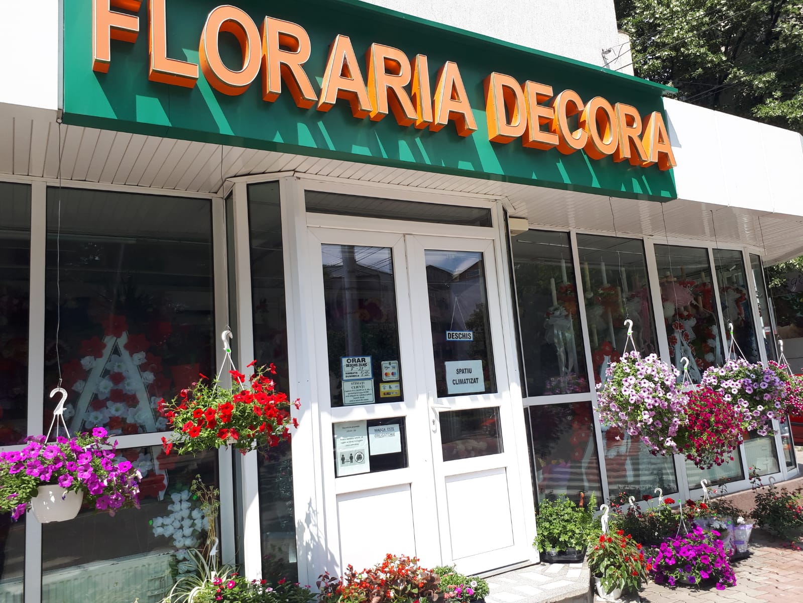 Florăria Decora