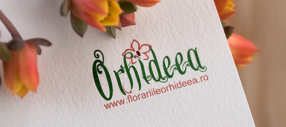 Florăria Orhideea