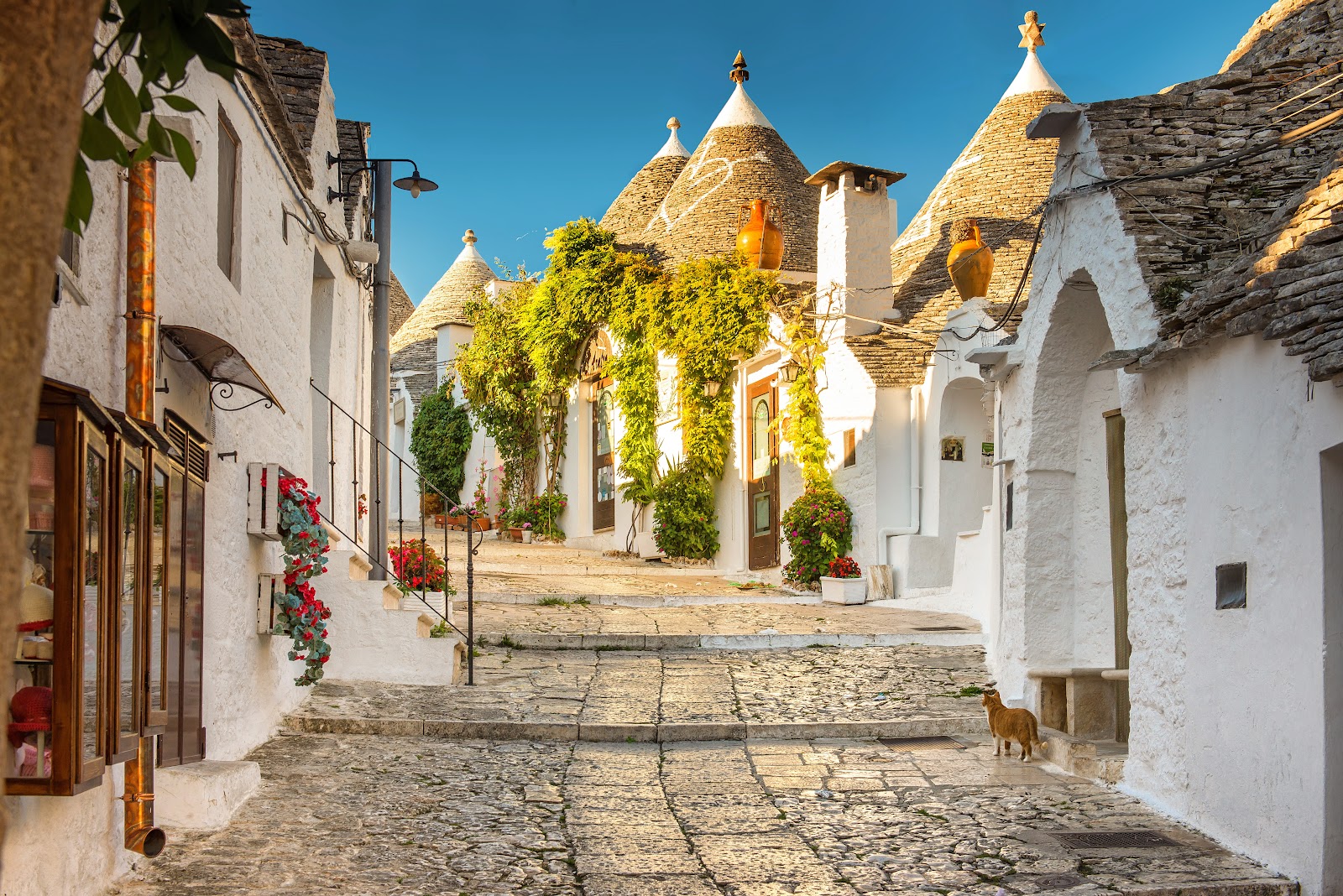 Got Travel | Agentie de turism Cluj| Oferte vacanta