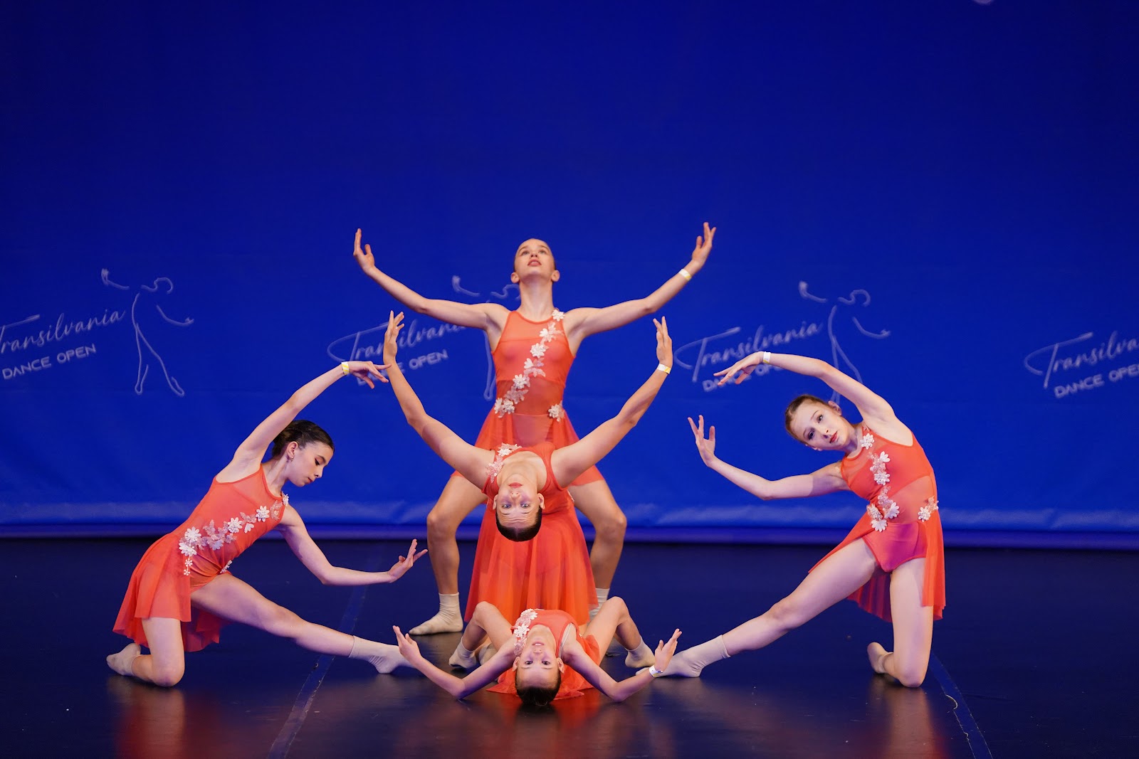 Step Up Dance Center Marasti - Cursuri de dans pentru copii