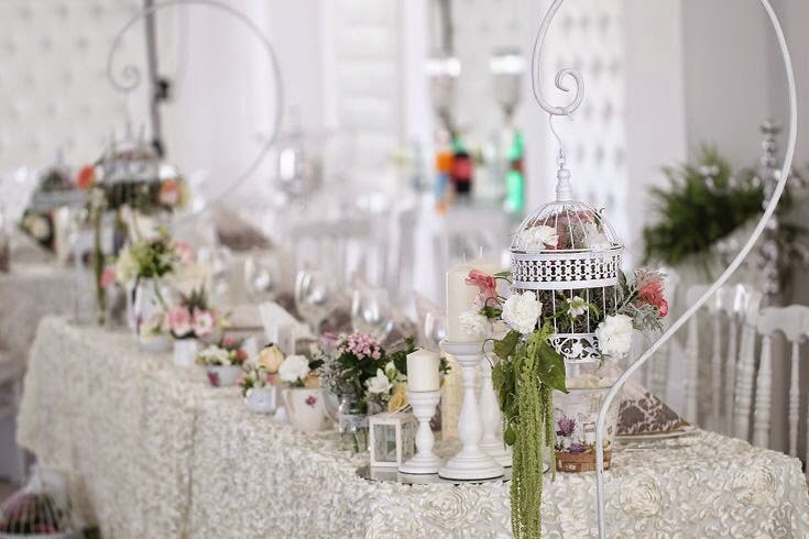 Lavi Decor