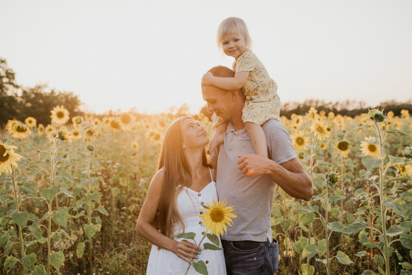 Pocreata Ciprian