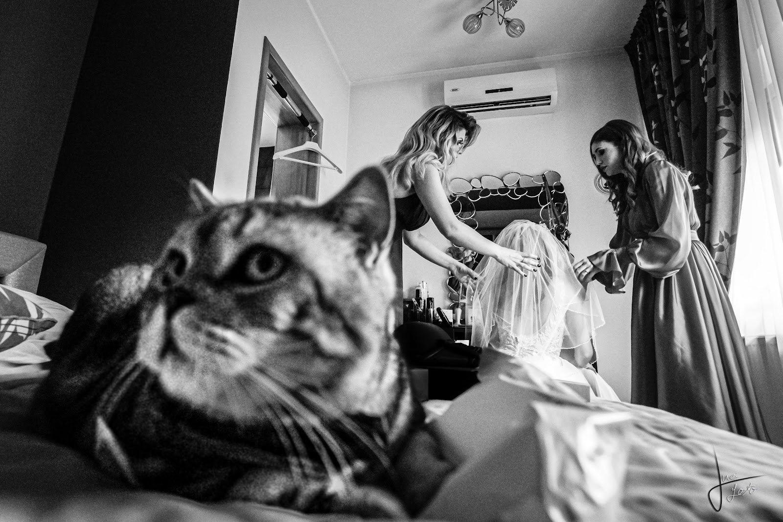 Luci Foto, Fotograf de Nunta Profesionist