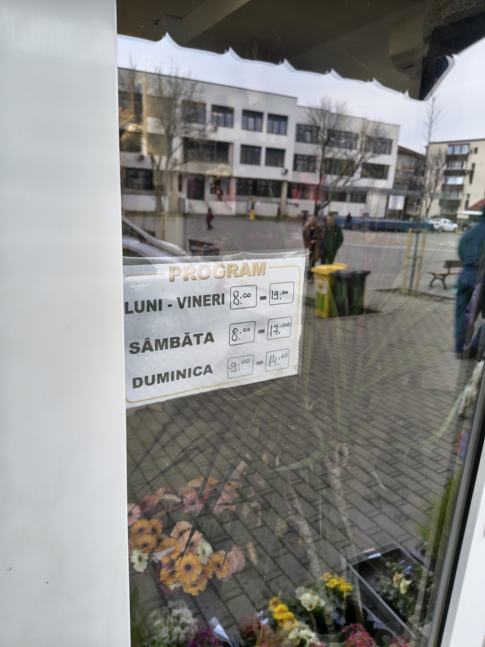 Florăria Soarelui Timișoara
