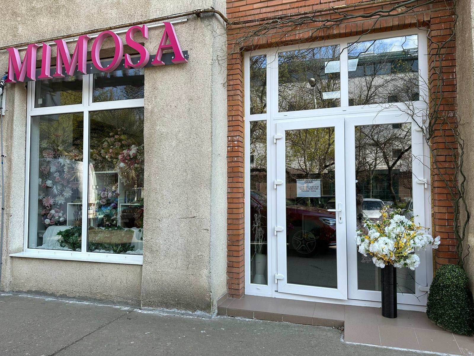 Mimosa