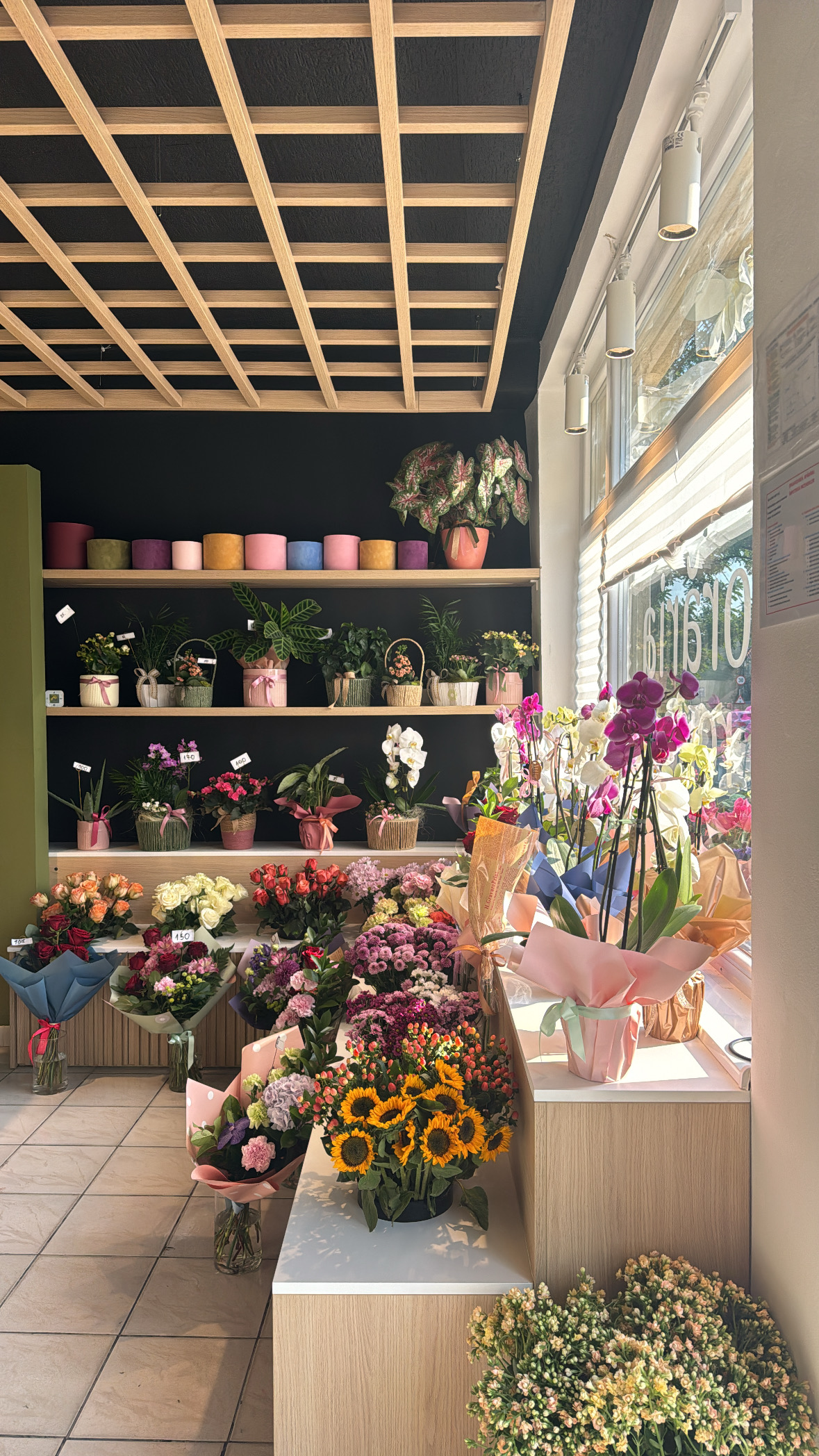 Roua Florarie Timisoara