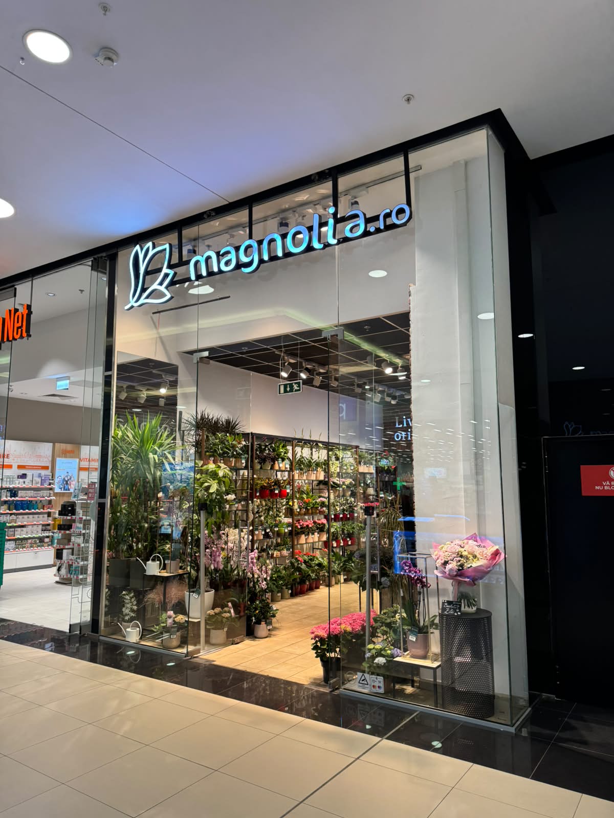 Florăria Magnolia Timișoara (Shopping City)