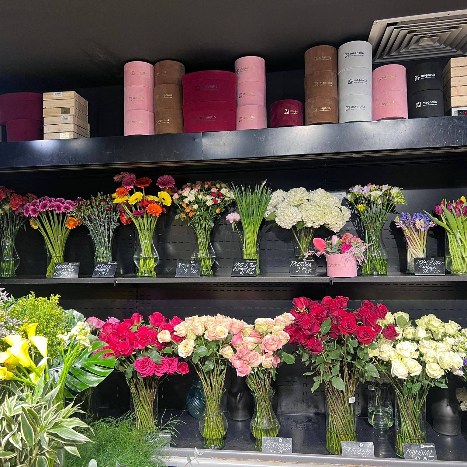Florăria Magnolia Timișoara (Shopping City)