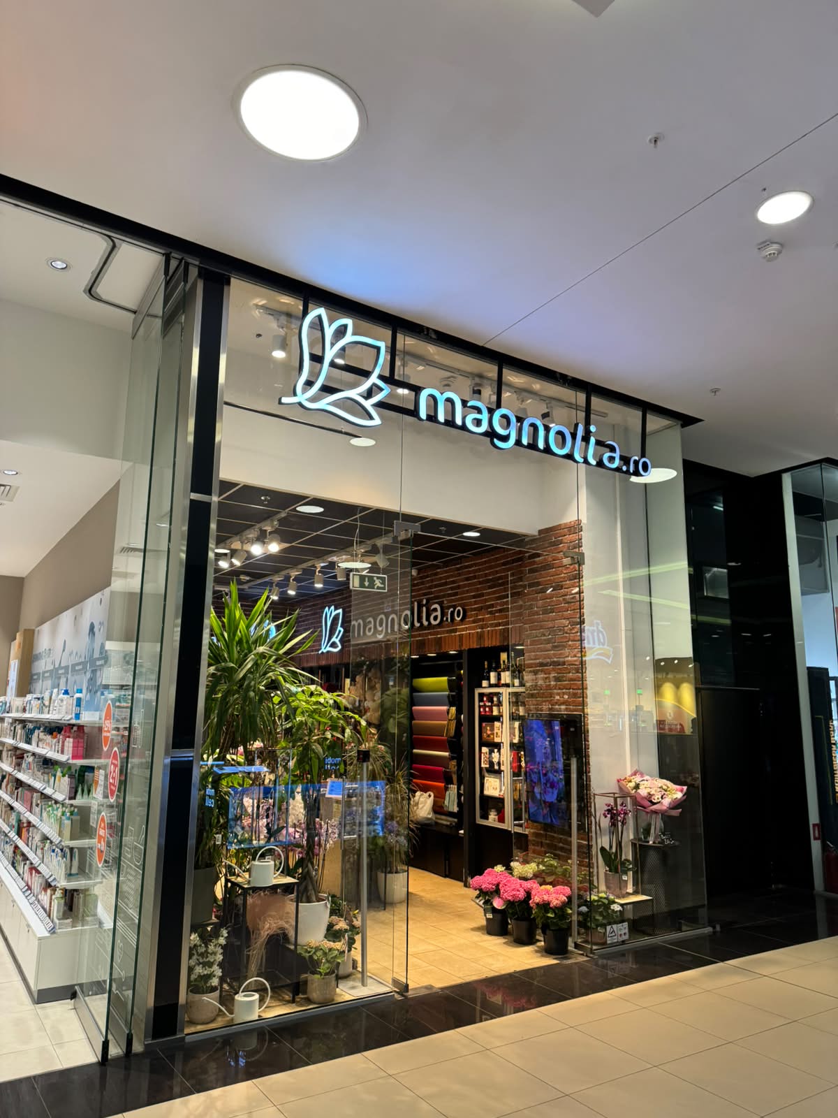 Florăria Magnolia Timișoara (Shopping City)