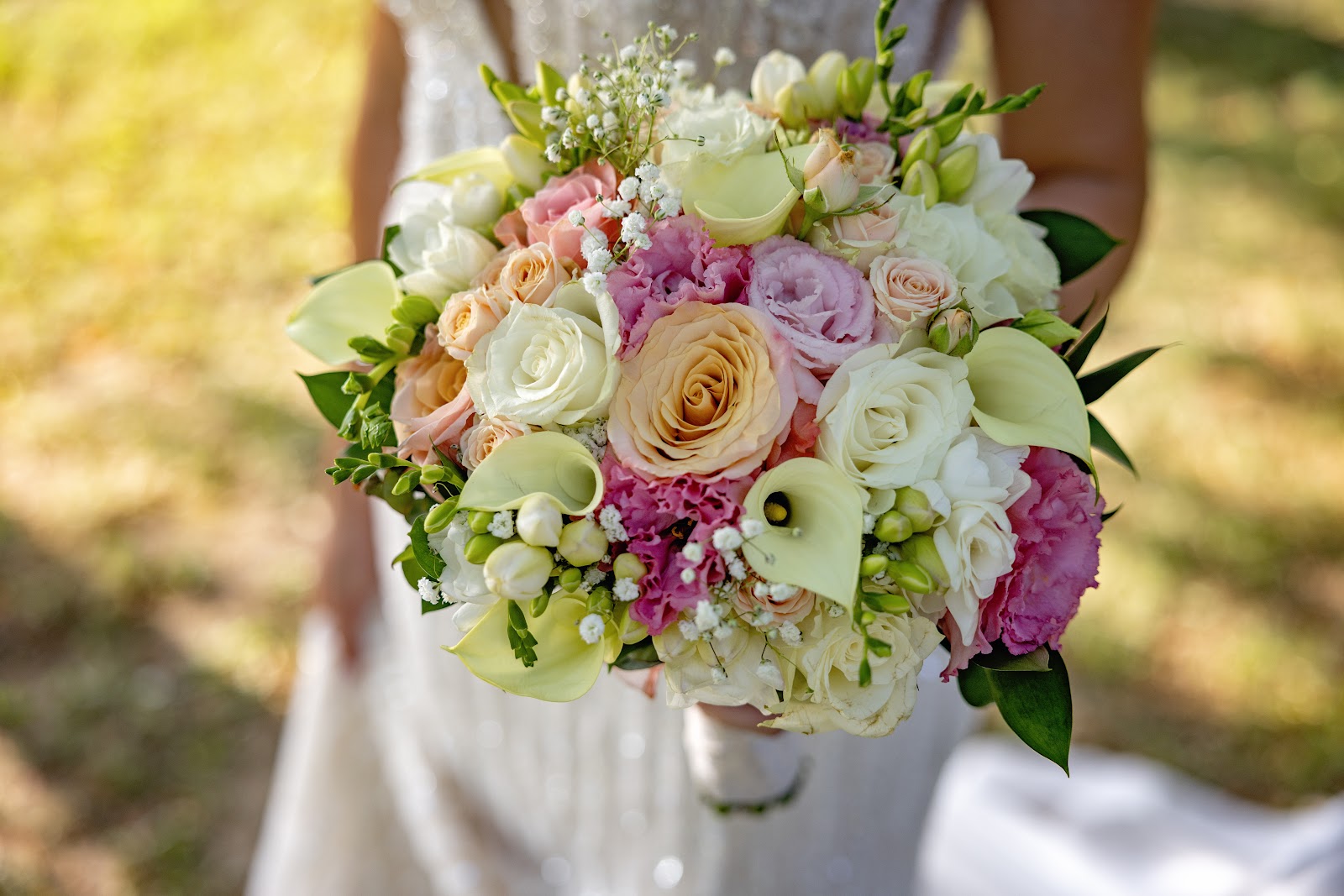 Floraria Aimme