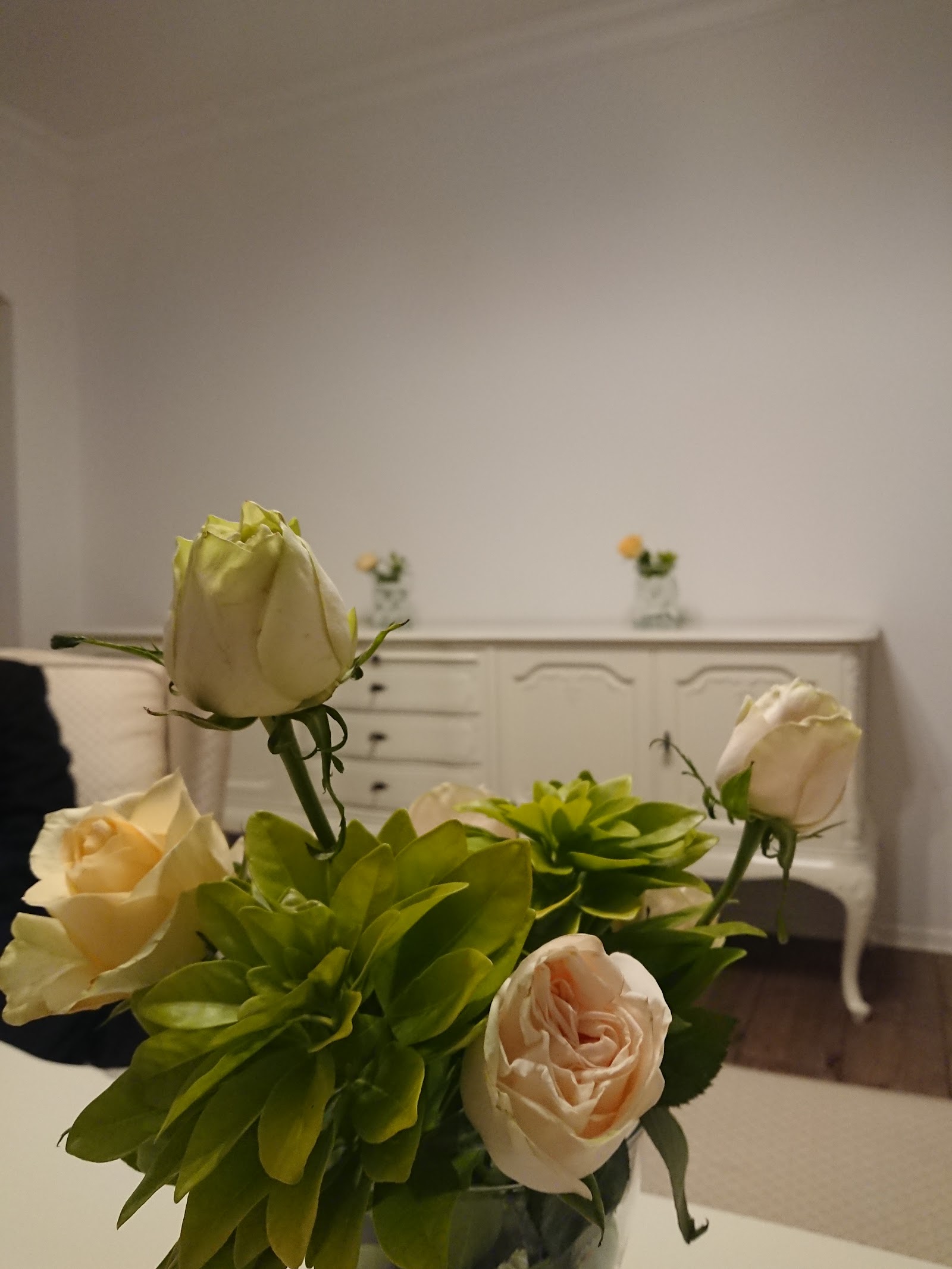 Rayna Decor
