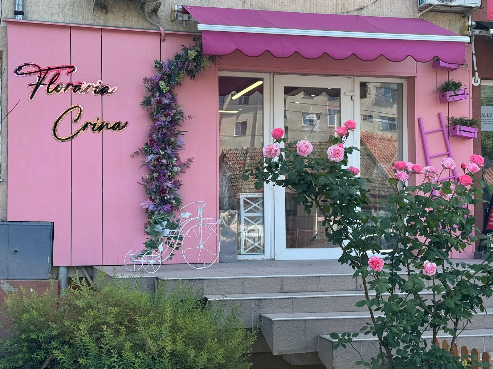Florăria Crina ( Calea Martirilor 1989 )
