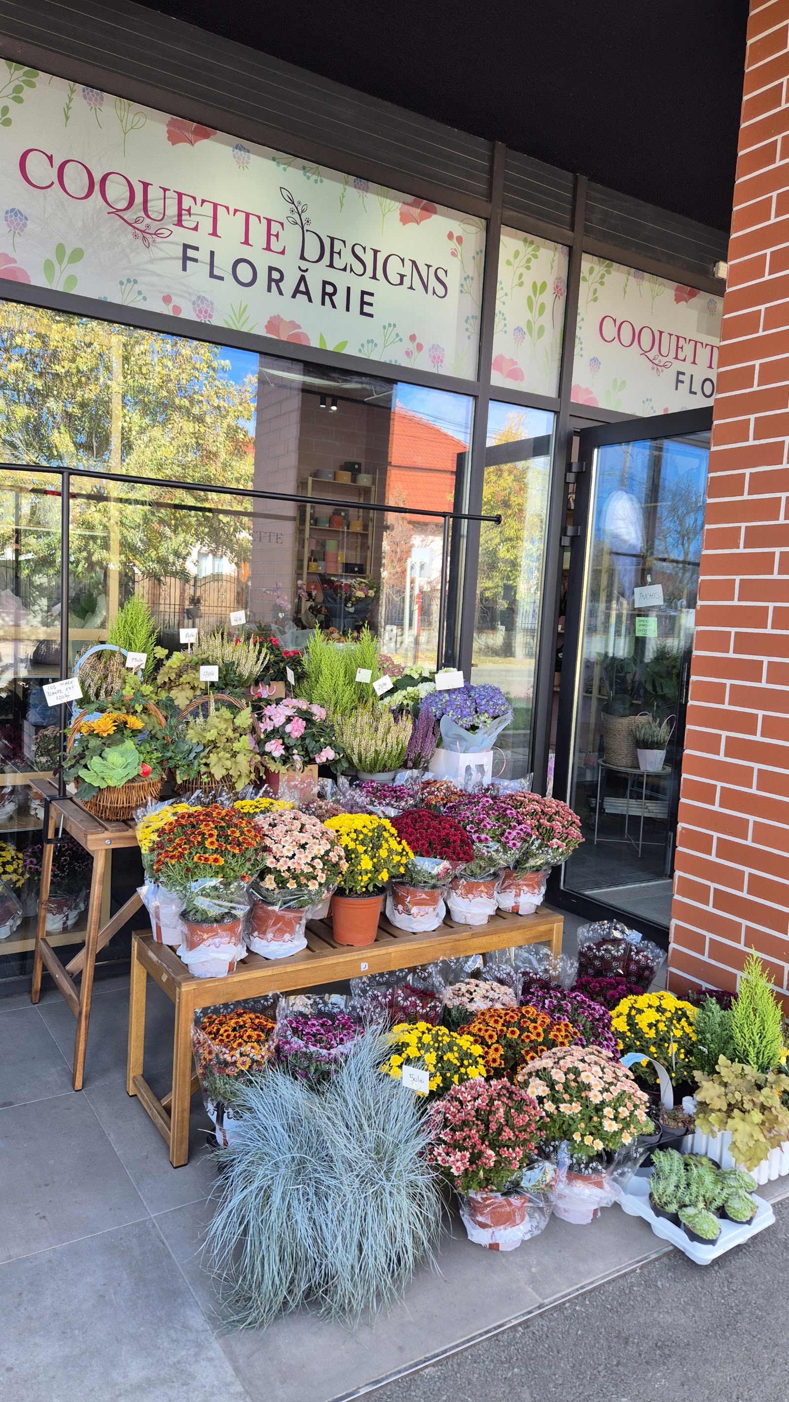 Coquette Designs - Florarie