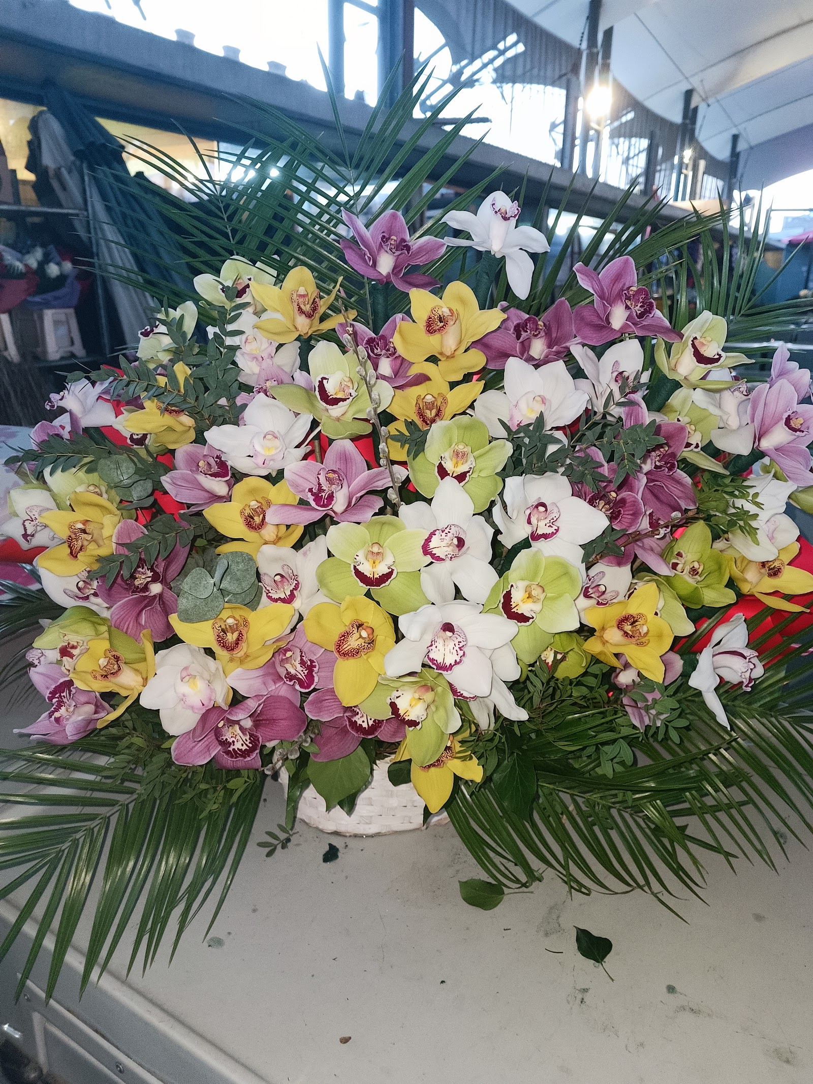 Floraria Golya Badea Cartan Livrari