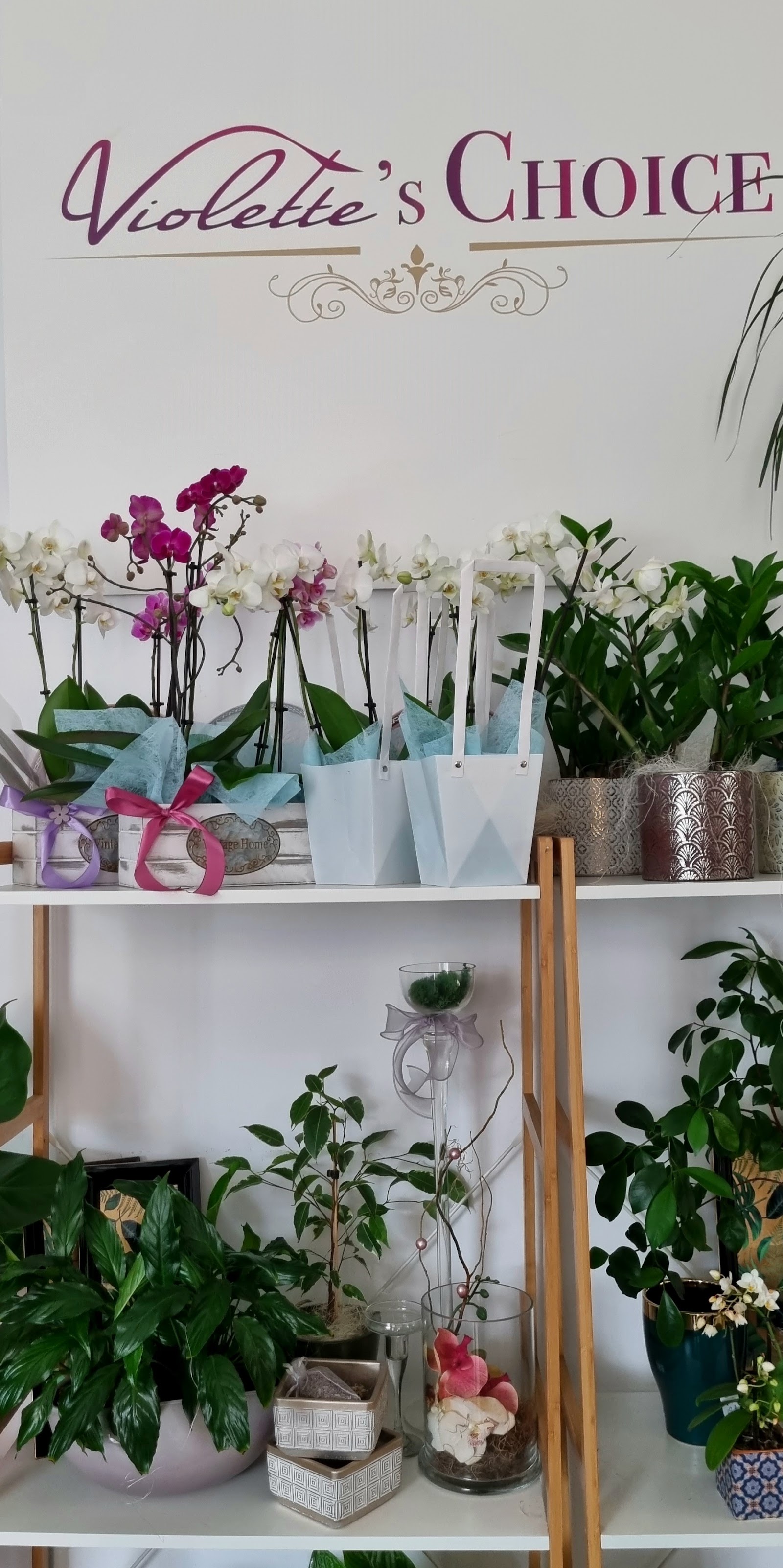 Violette Boutique des Fleurs