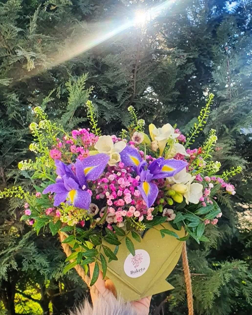 Florarie Dumbrăvița Buketo