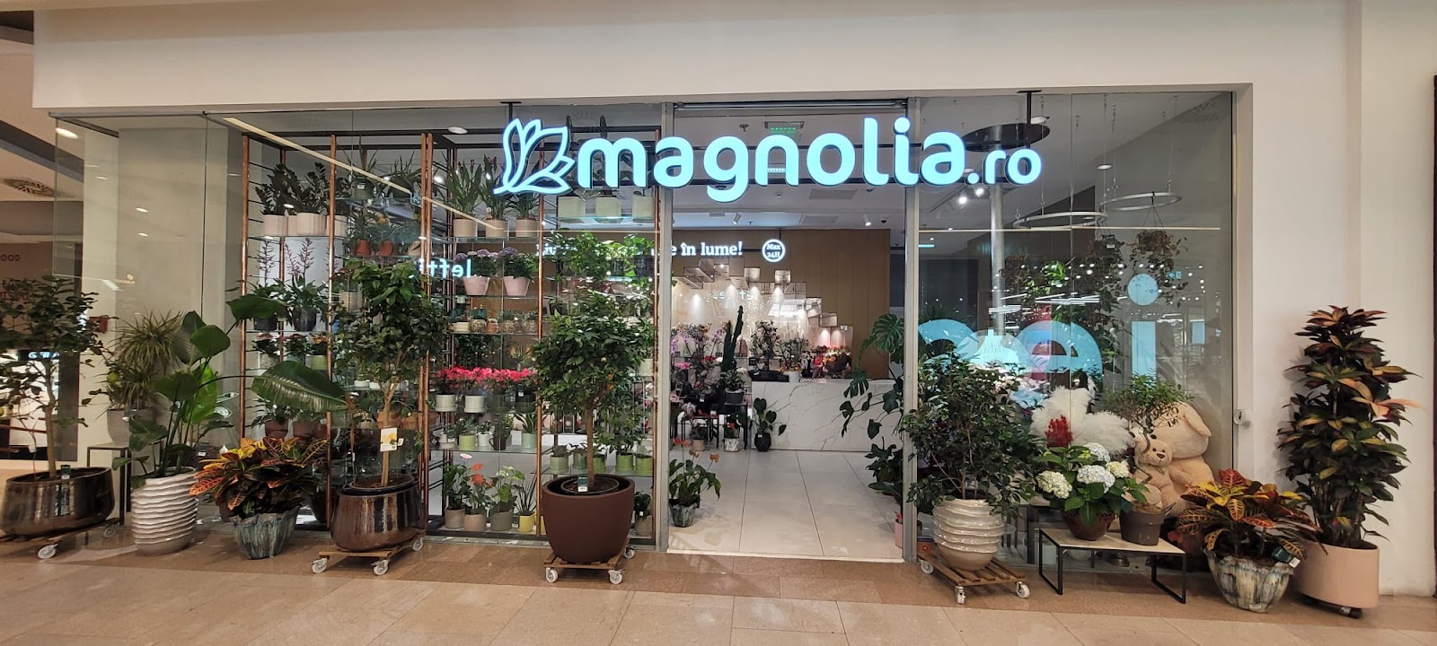 Florăria Magnolia Timișoara (Iulius Town)