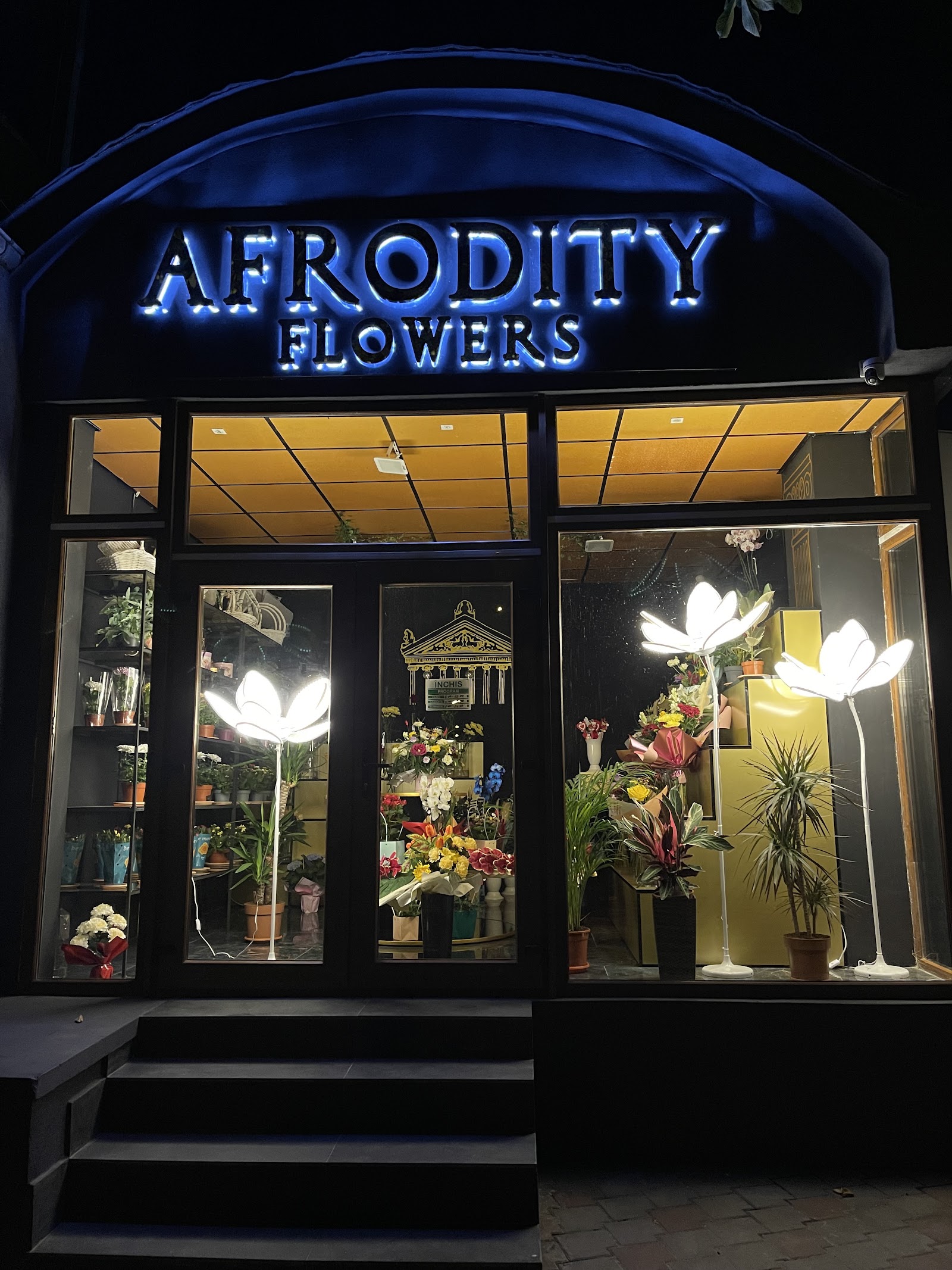 Afrodity Flowers - Florarie Tecuci cu Livrare
