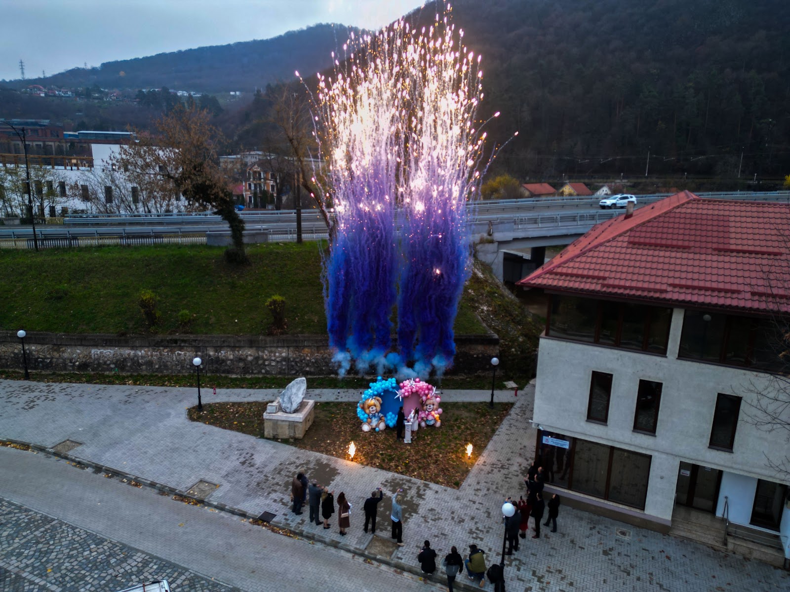 ADC ARTIFICII TIMISOARA