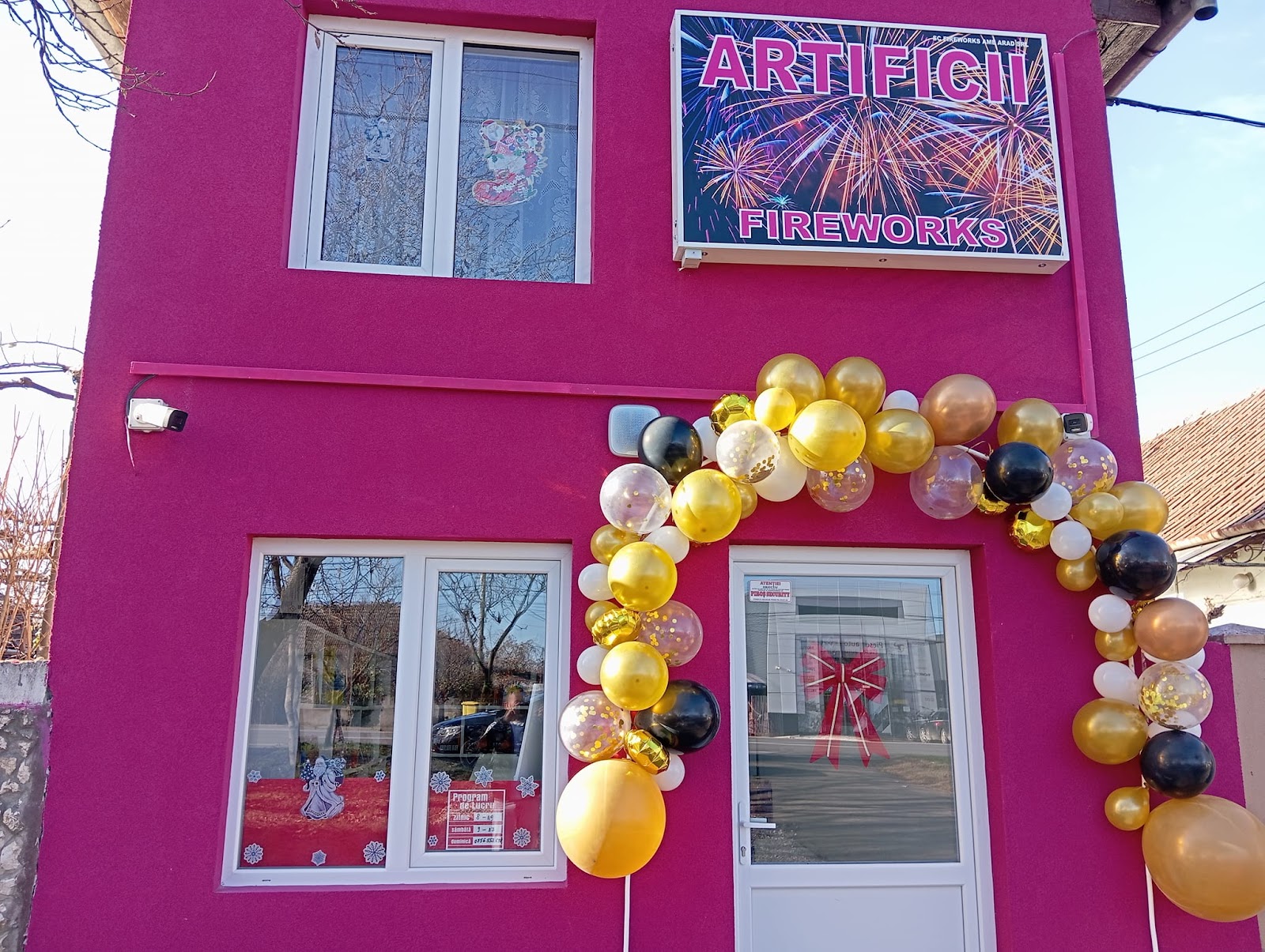 Artificii Fireworks Arad