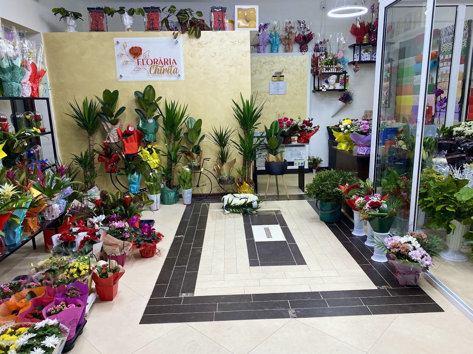 Floraria Chirita - Florarie Tecuci
