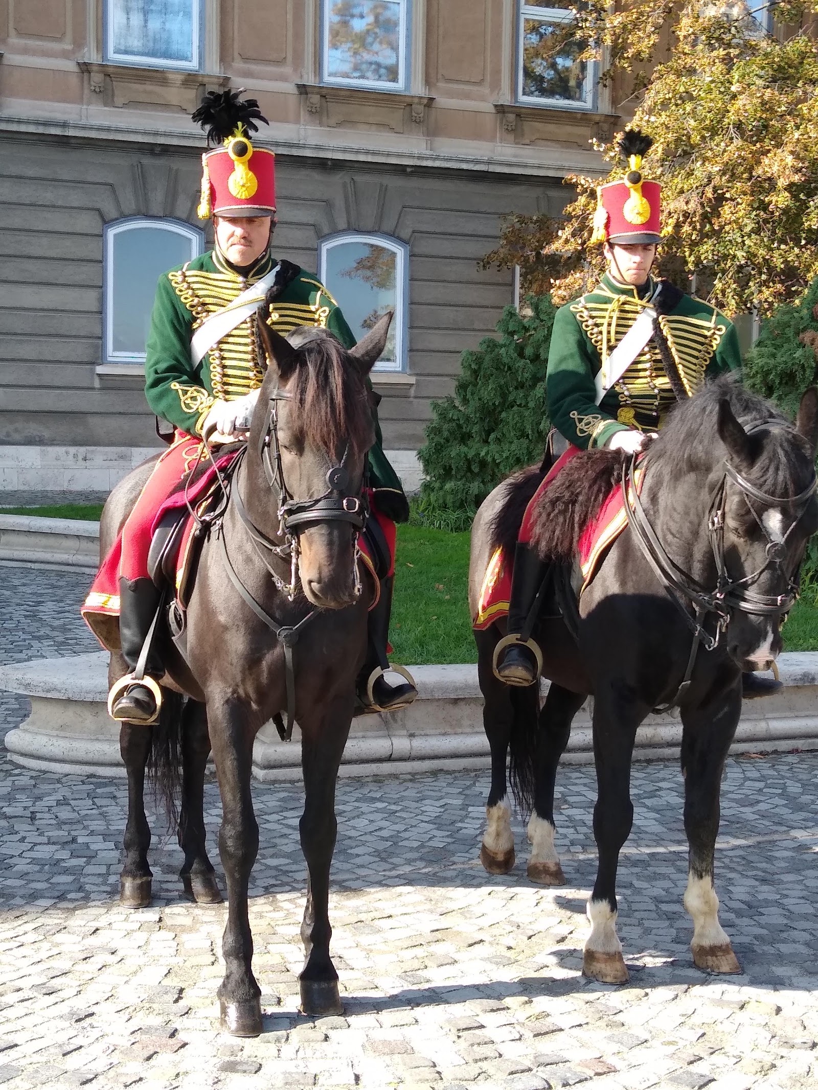 Agentia de Turism Cardinal
