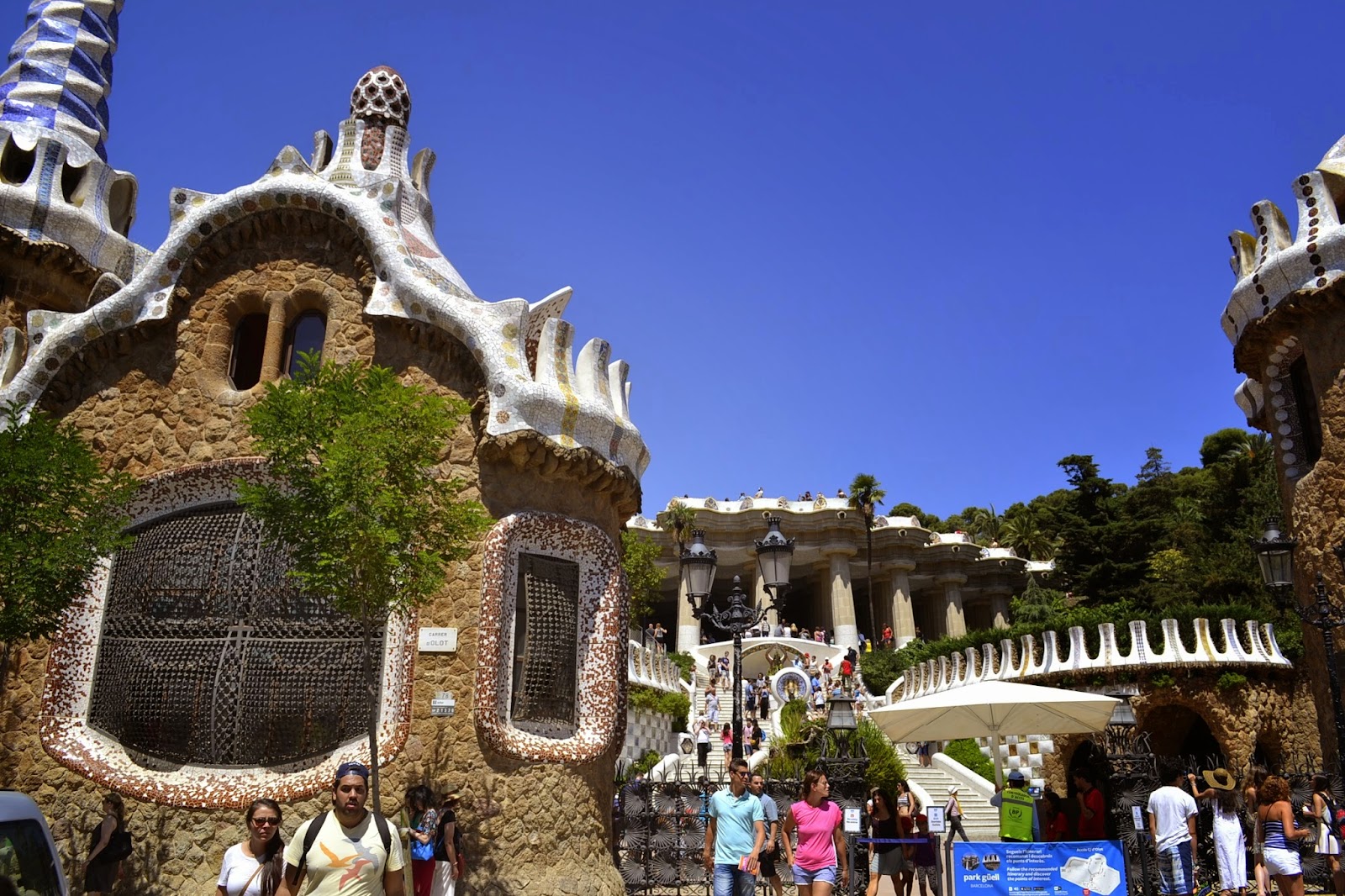 Tamicris Tours