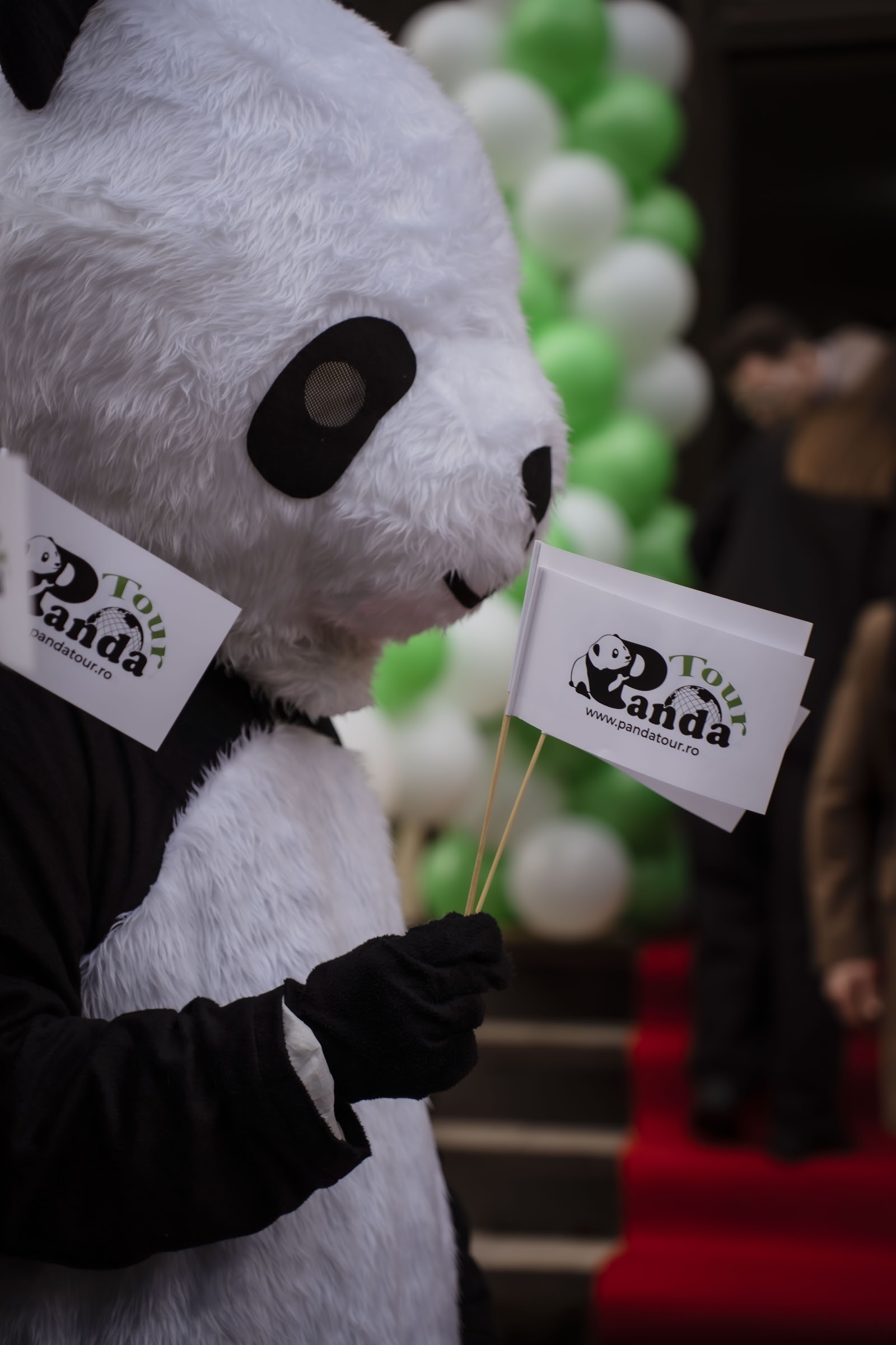 Panda Tour Timișoara