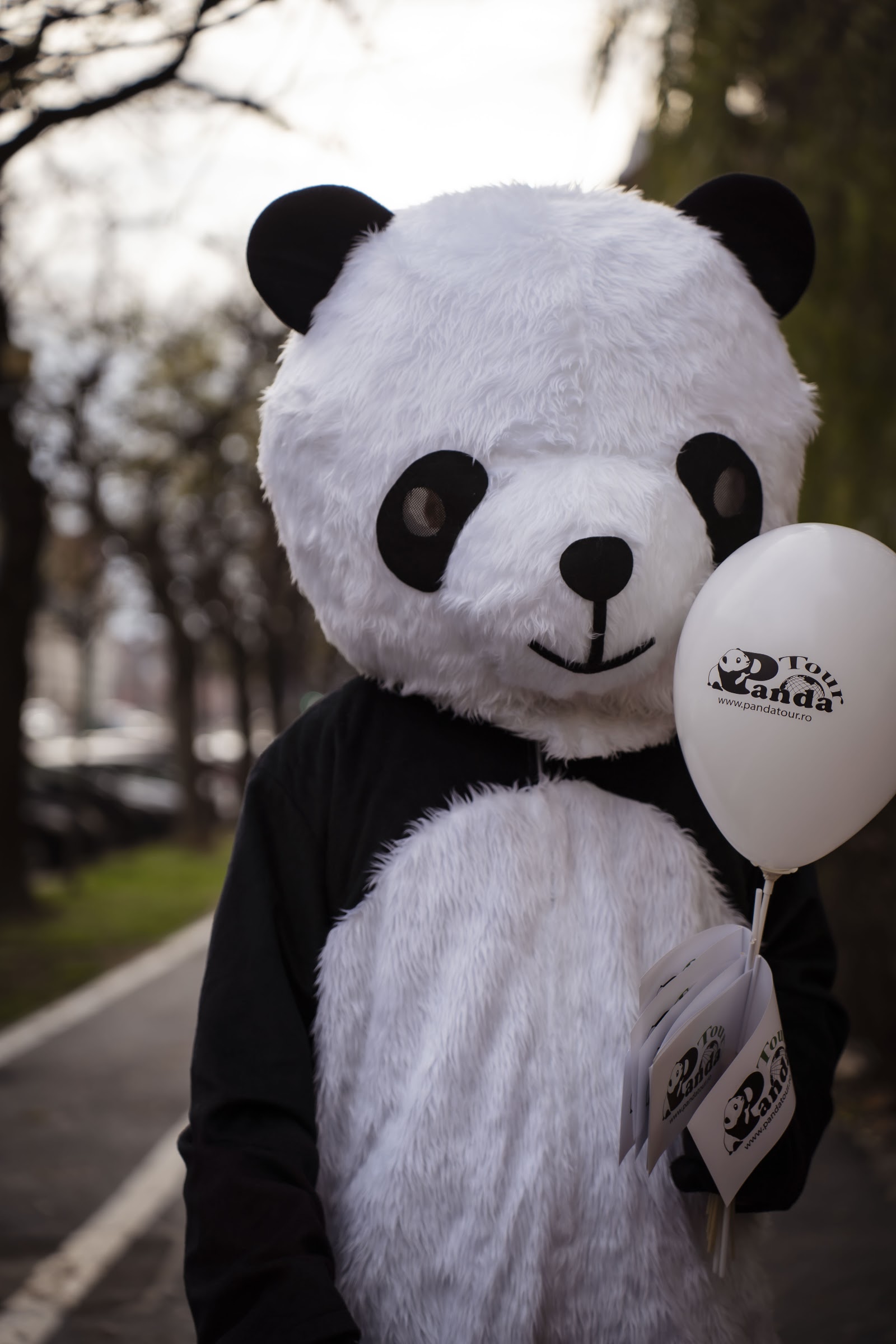 Panda Tour Timișoara
