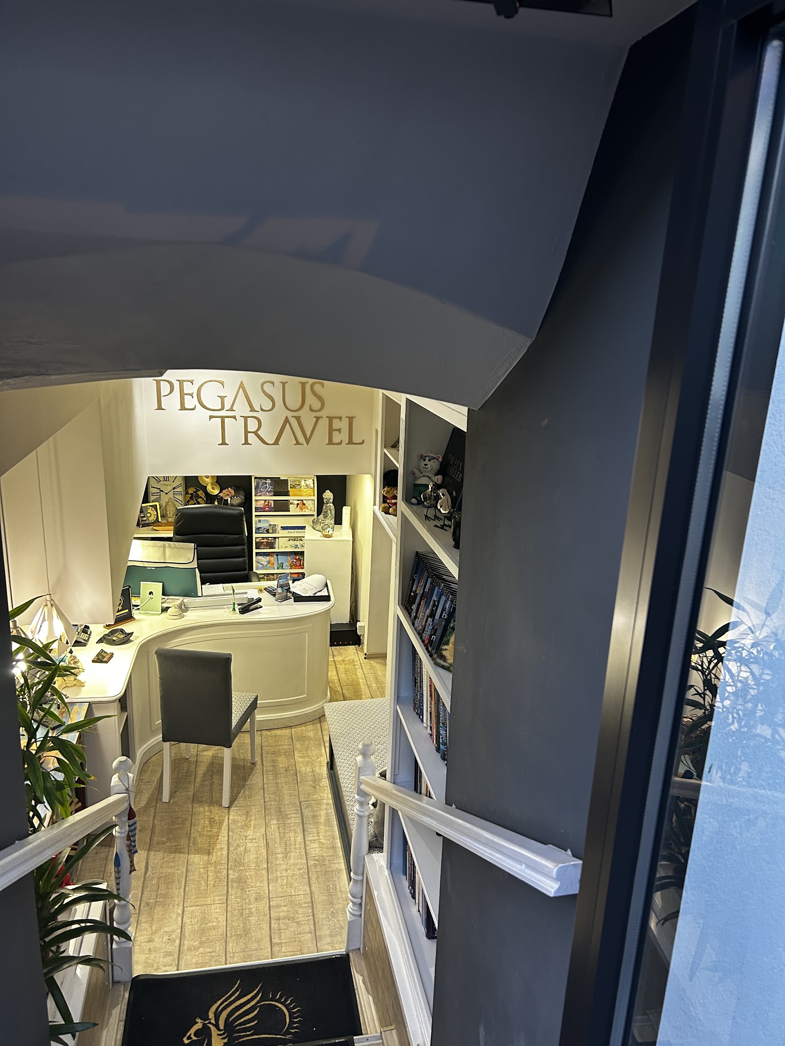 Pegasus Travel