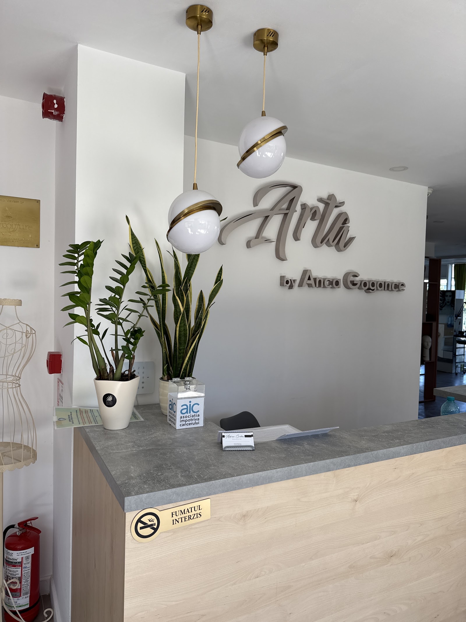 ARTA by Anca Gogance