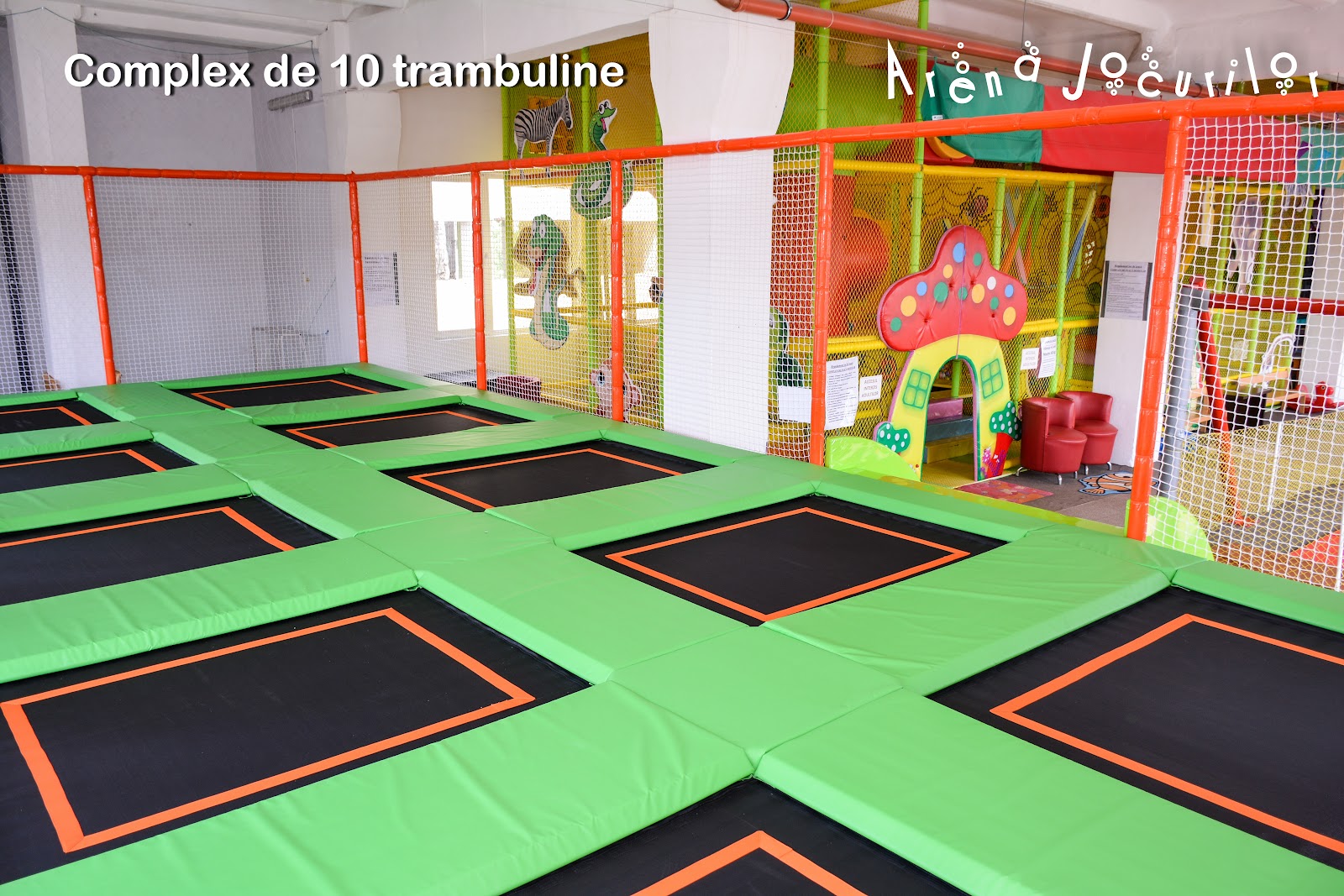 Arena Jocurilor Srl
