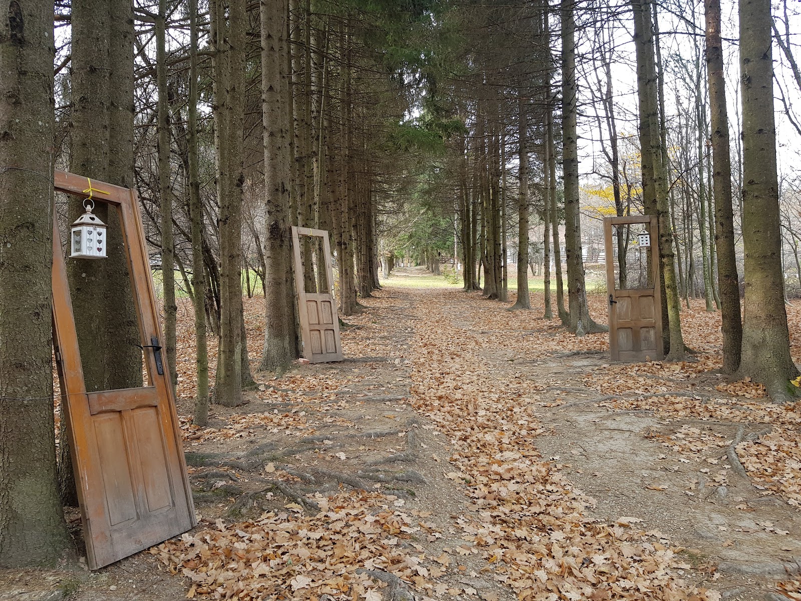 Cabana Poieni