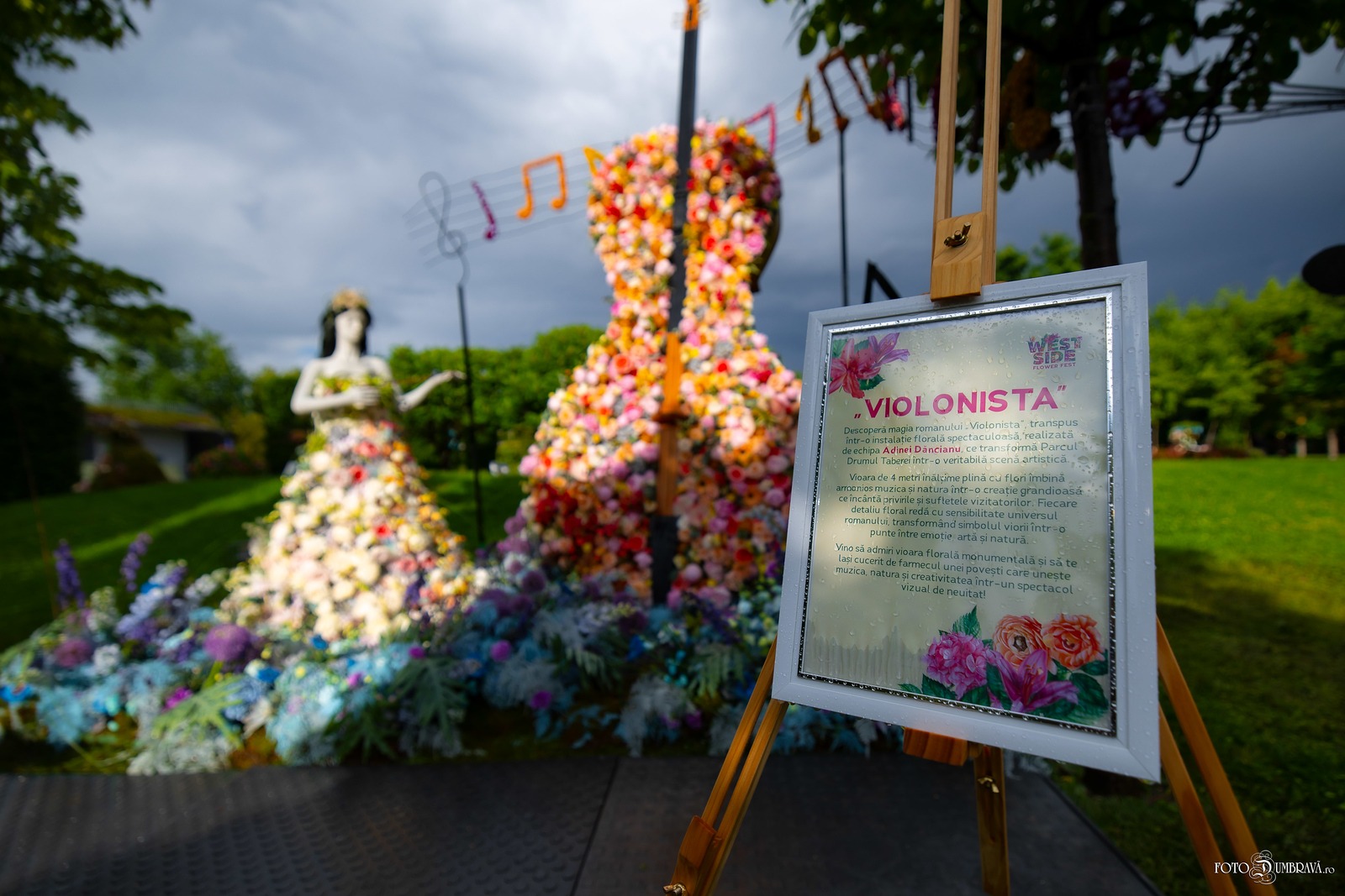 Floraria Rosalia