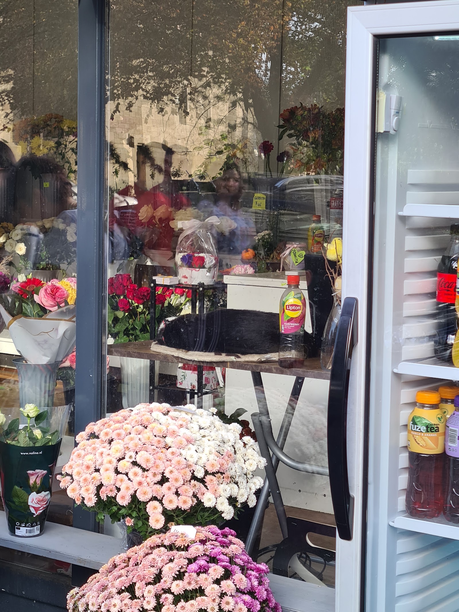 About Flowers