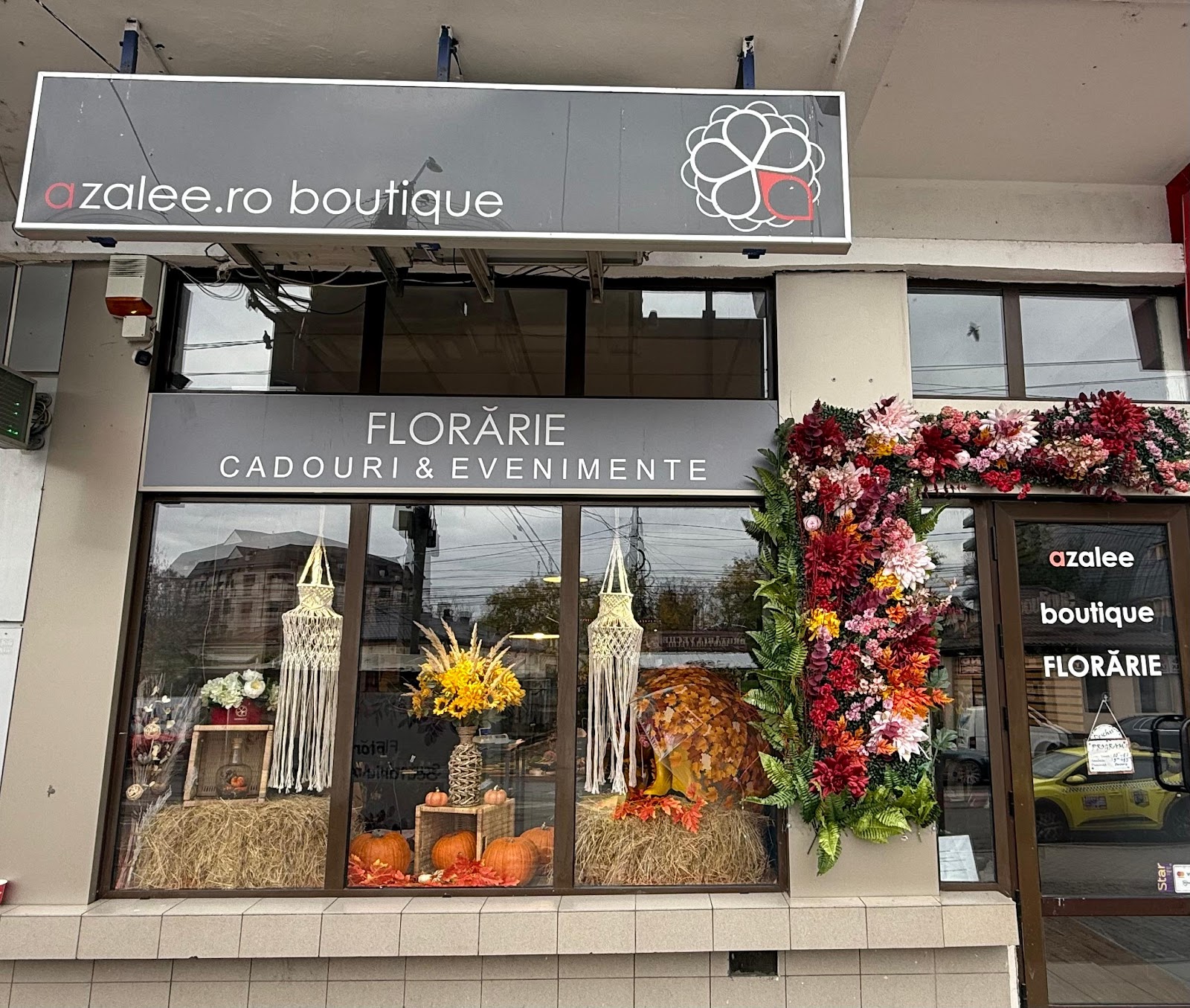 Floraria azalee.ro