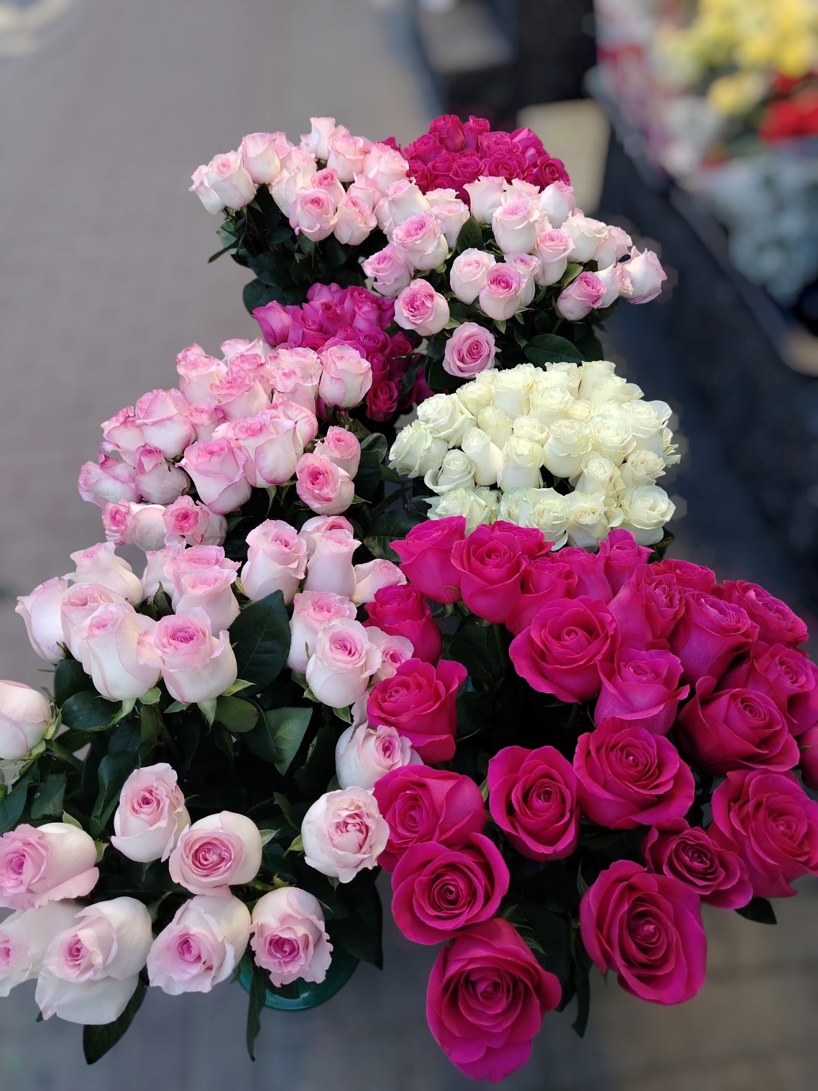 Boutique Floral - Florarie Iași