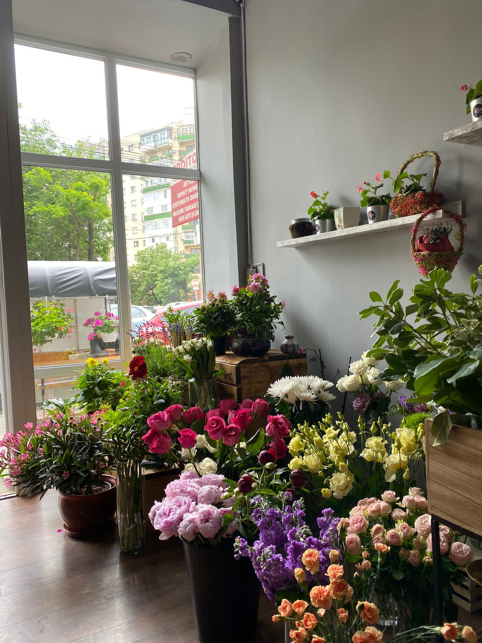 L’arte dei Fiori Iași