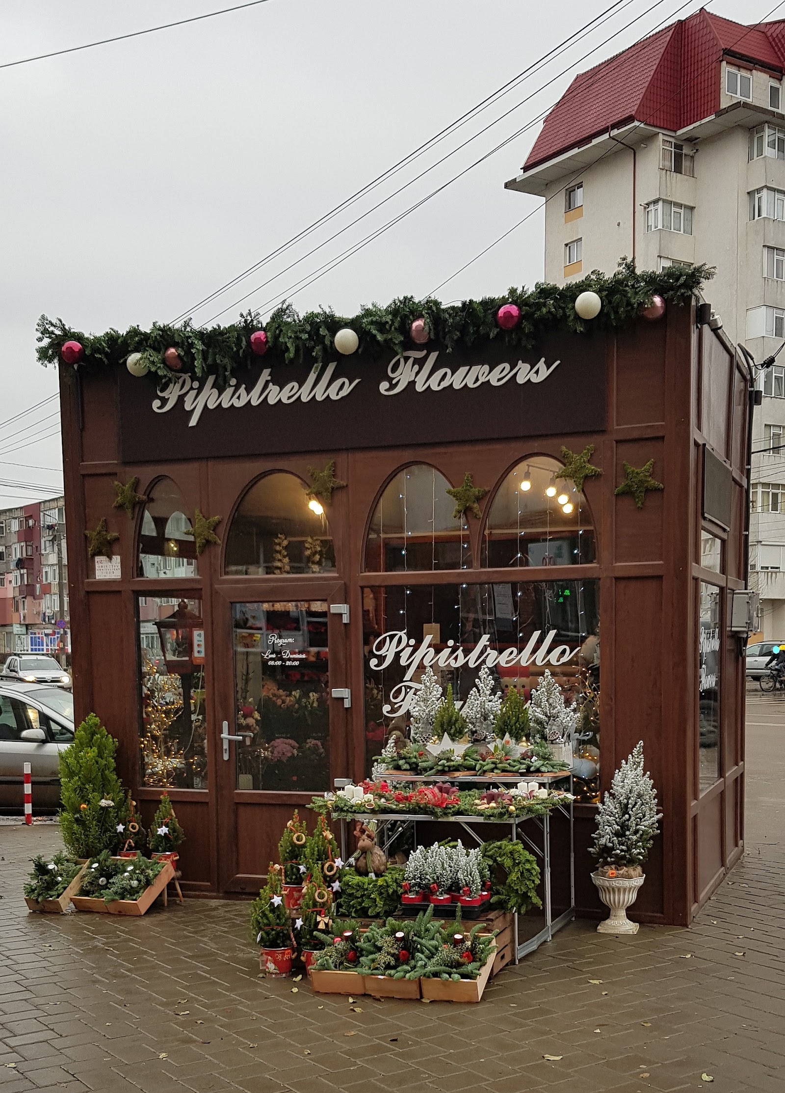 Pipistrello Boutique