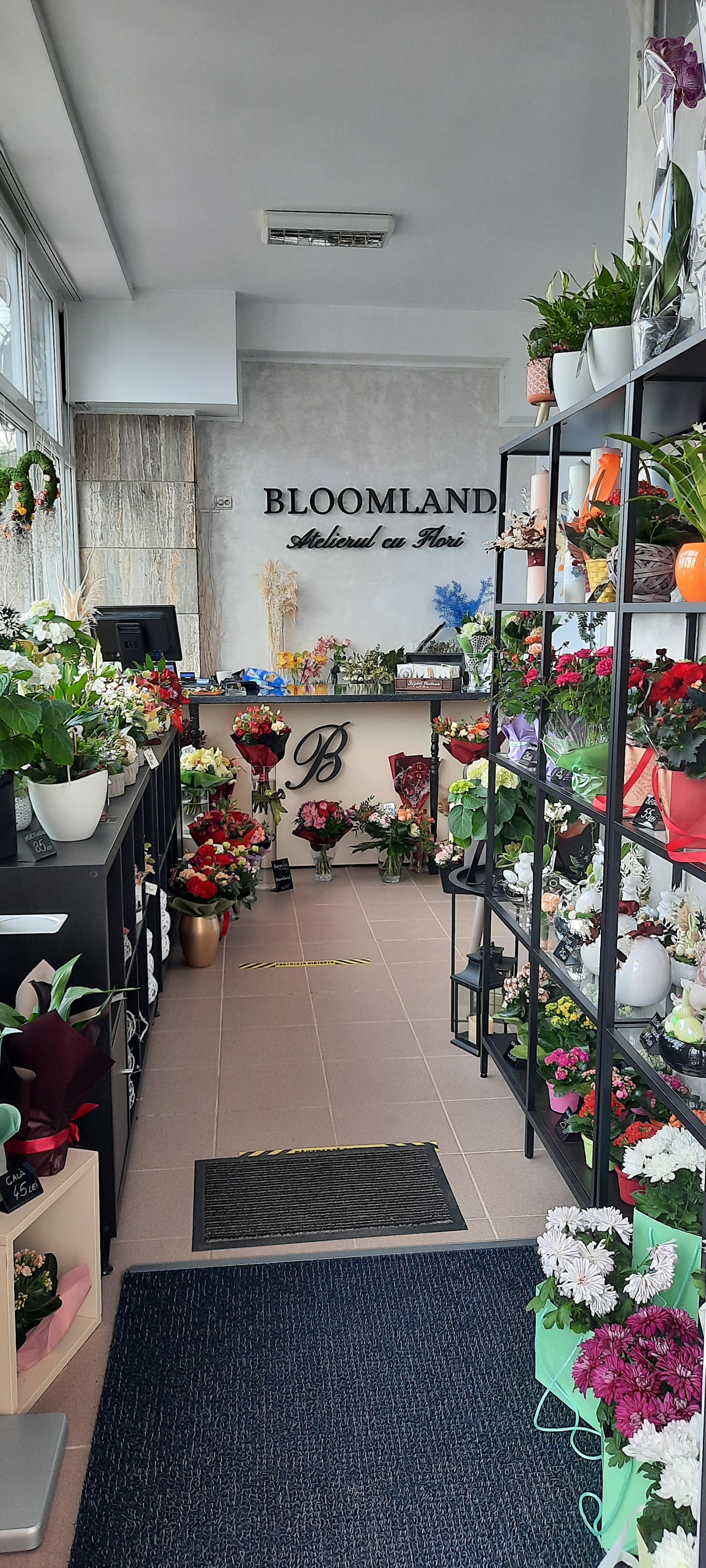 BLOOMLAND