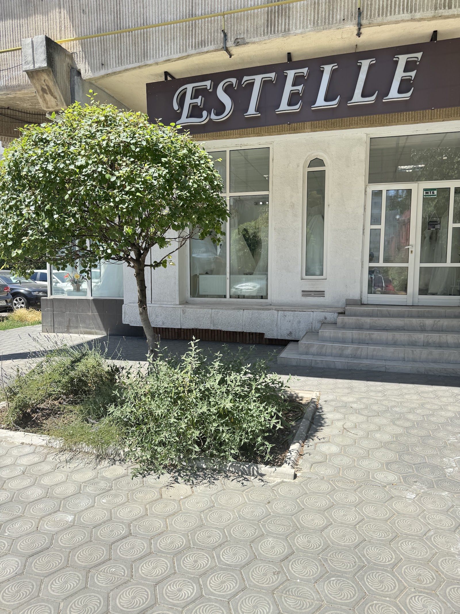 Salon Estelle