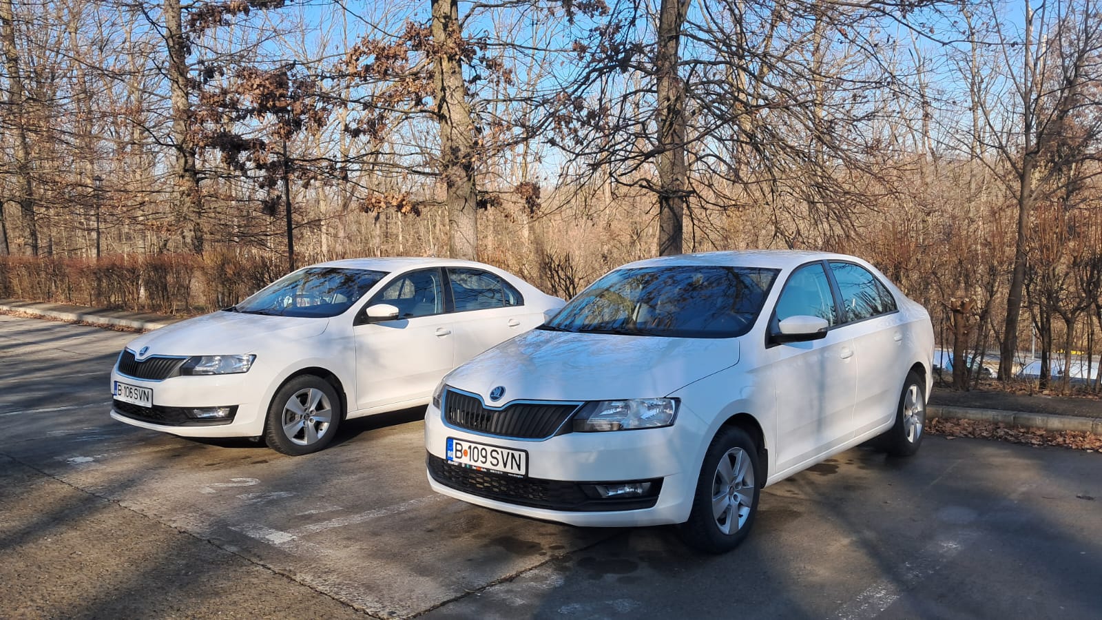 Viocars Rental - aeroport Iasi