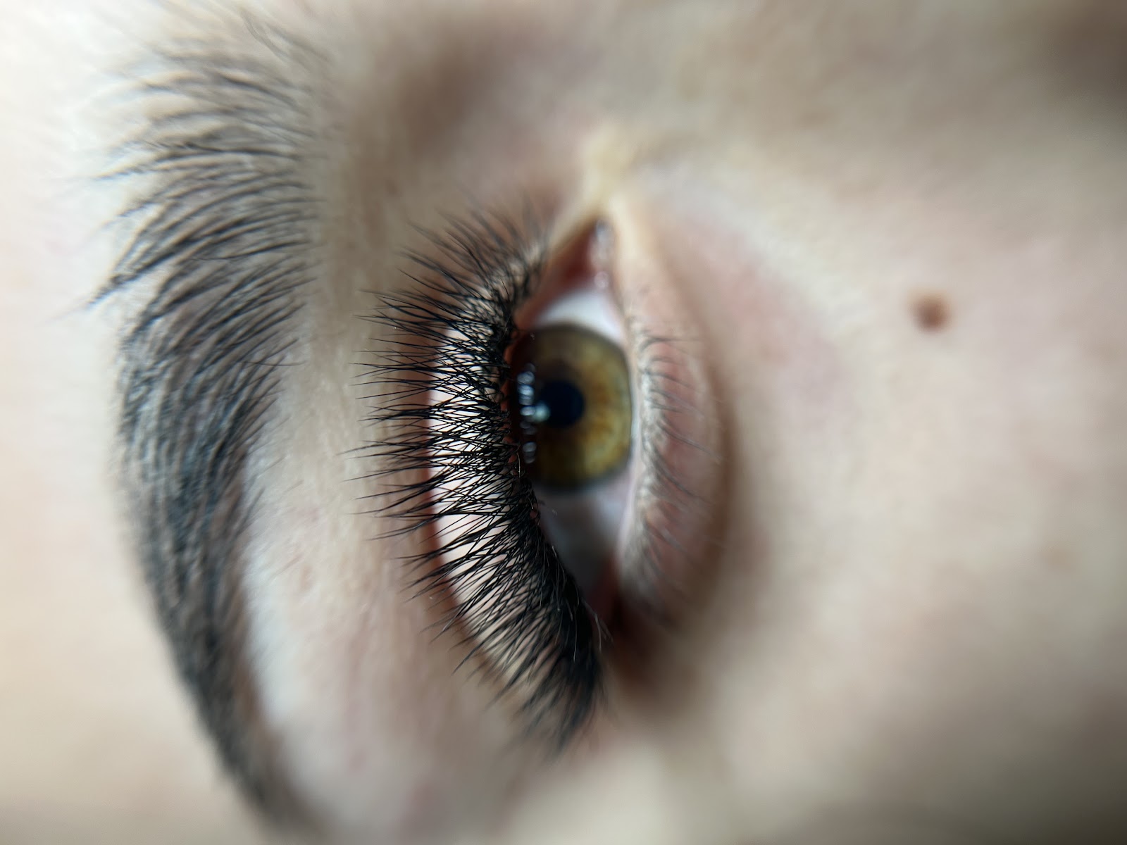 Touch of Beauty by Cristina Nicolae