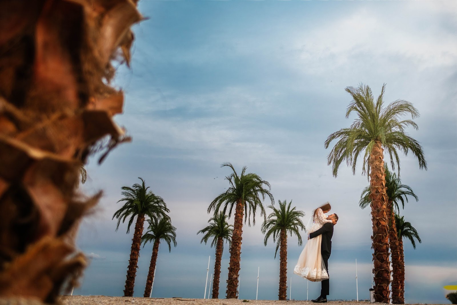 Alina & Leonard - Fotograf Nunta