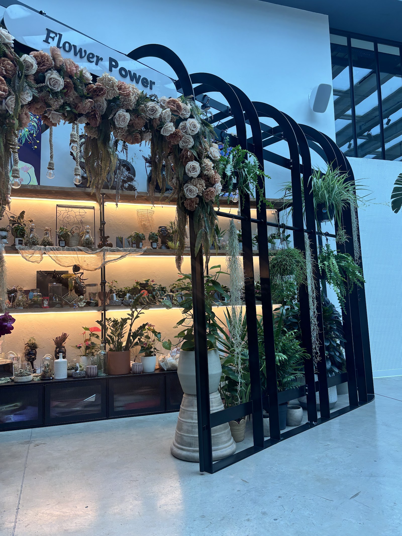 Zayra Studio Floral by Infibra