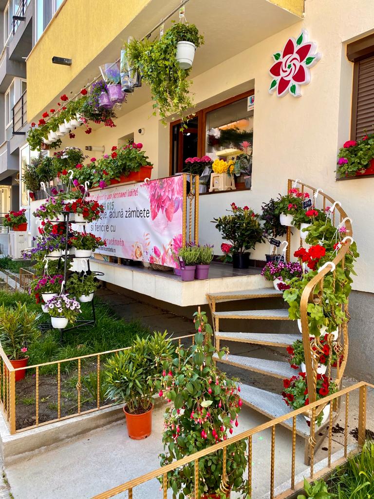 Florarie Constanta