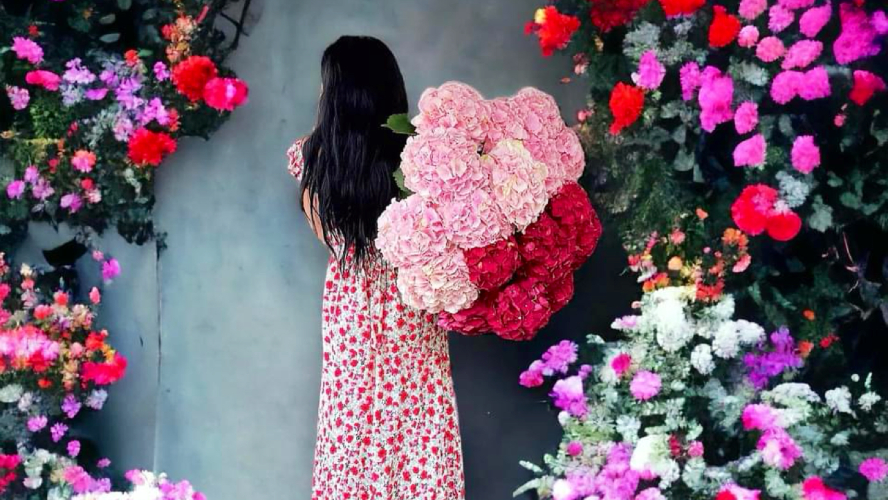 Floraria Dianthus - Florarie online Constanta, Livrare flori Constanta