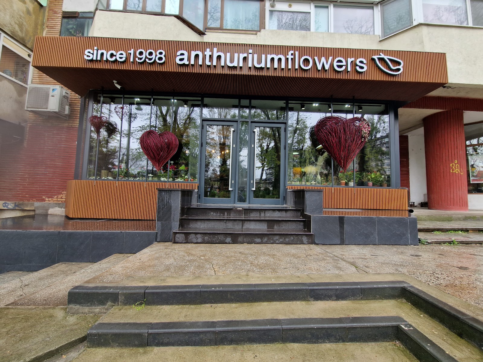FLORĂRIA ANTHURIUM