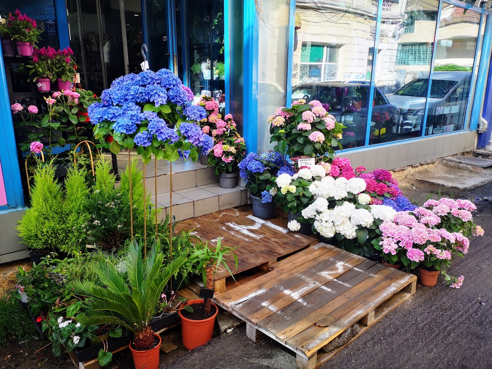 Floraria TheMa